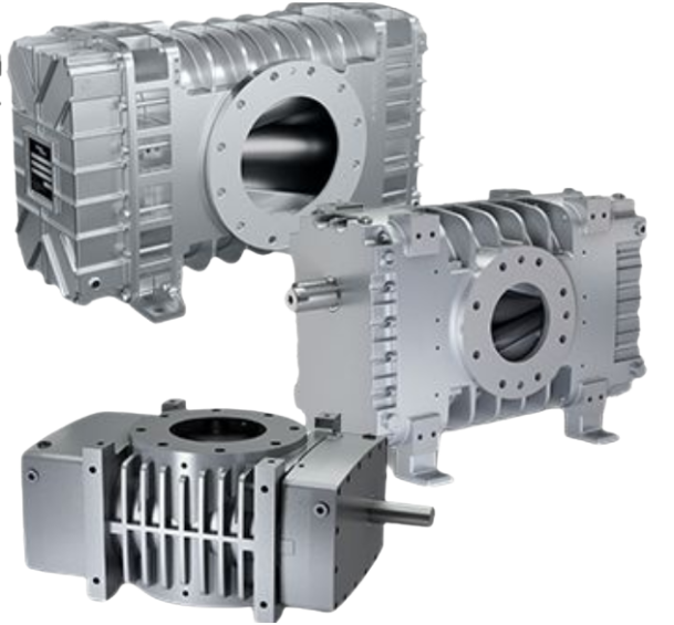 Globe Valve